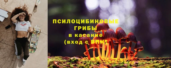 apvp Аркадак